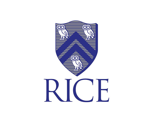 莱斯大学标志logo设计含义,品牌策划vi设计介绍