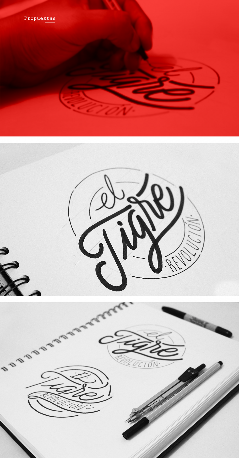Illustration and Branding: Tigre de Revolución