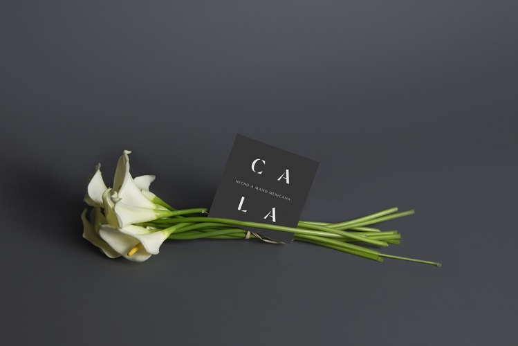 Cala家居用品公司vi设计，logo字体设计