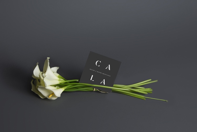 Cala家居用品公司vi设计,logo字体设计