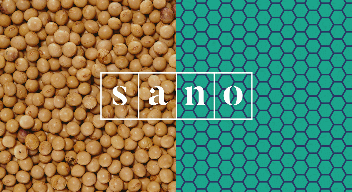 Sano食品品牌形象策略与企业vi设计，食品logo设计