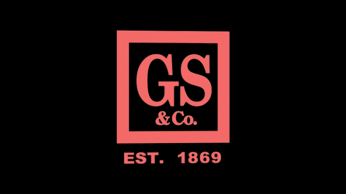 goldmansachs gs co logo
