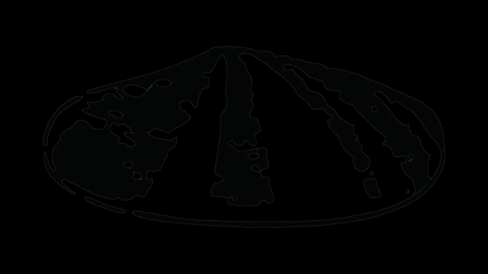 Shell logo 1900–1904