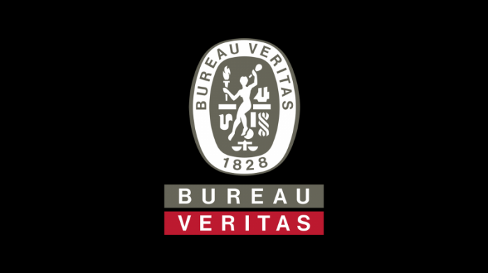 Bureau Veritas logo.png